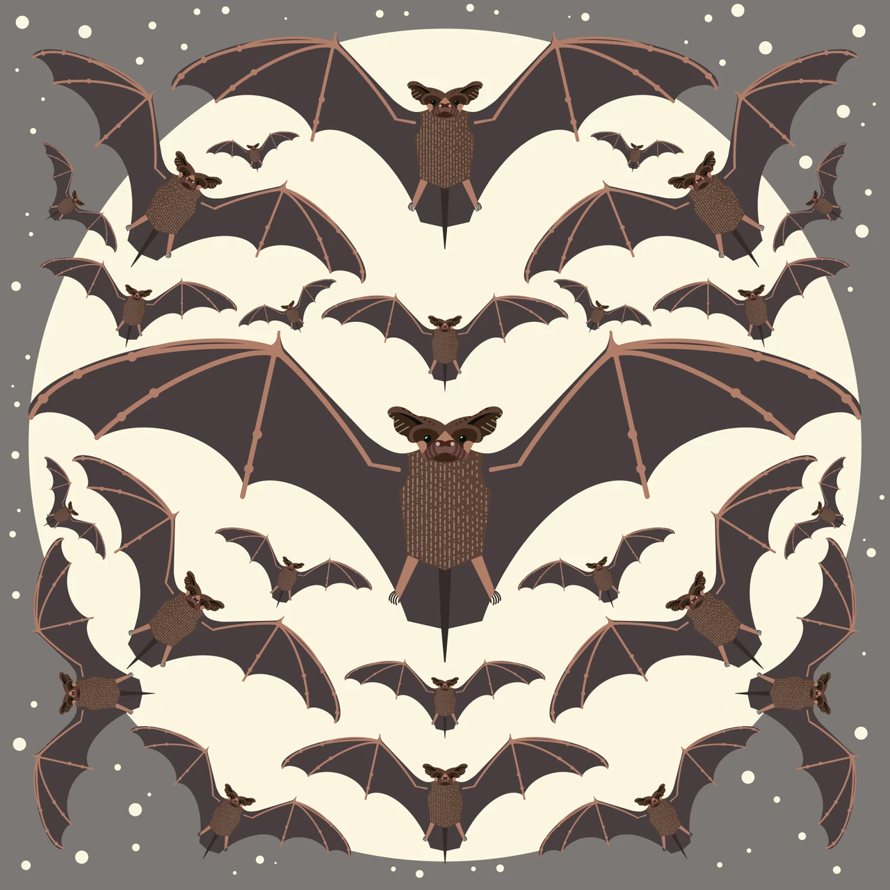 Mexican Free-Tailed Bat (Tadarida brasiliensis)