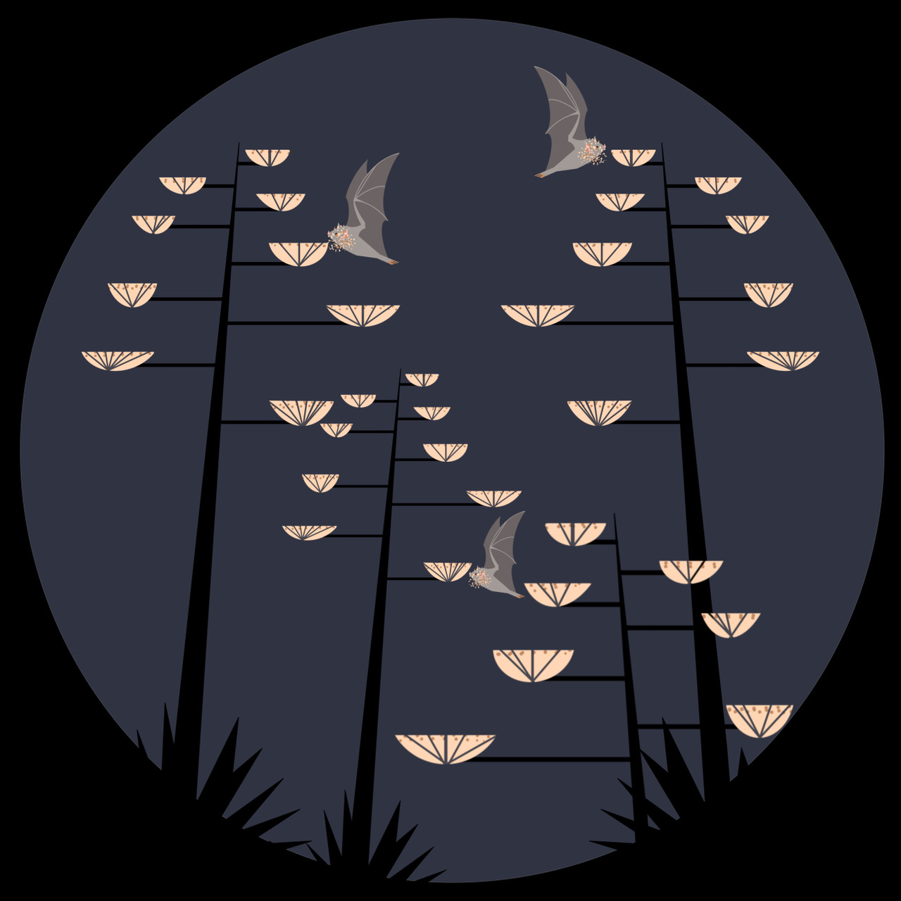 Mexican long-nosed bat (Leptonycteris nivalis) - Endangered