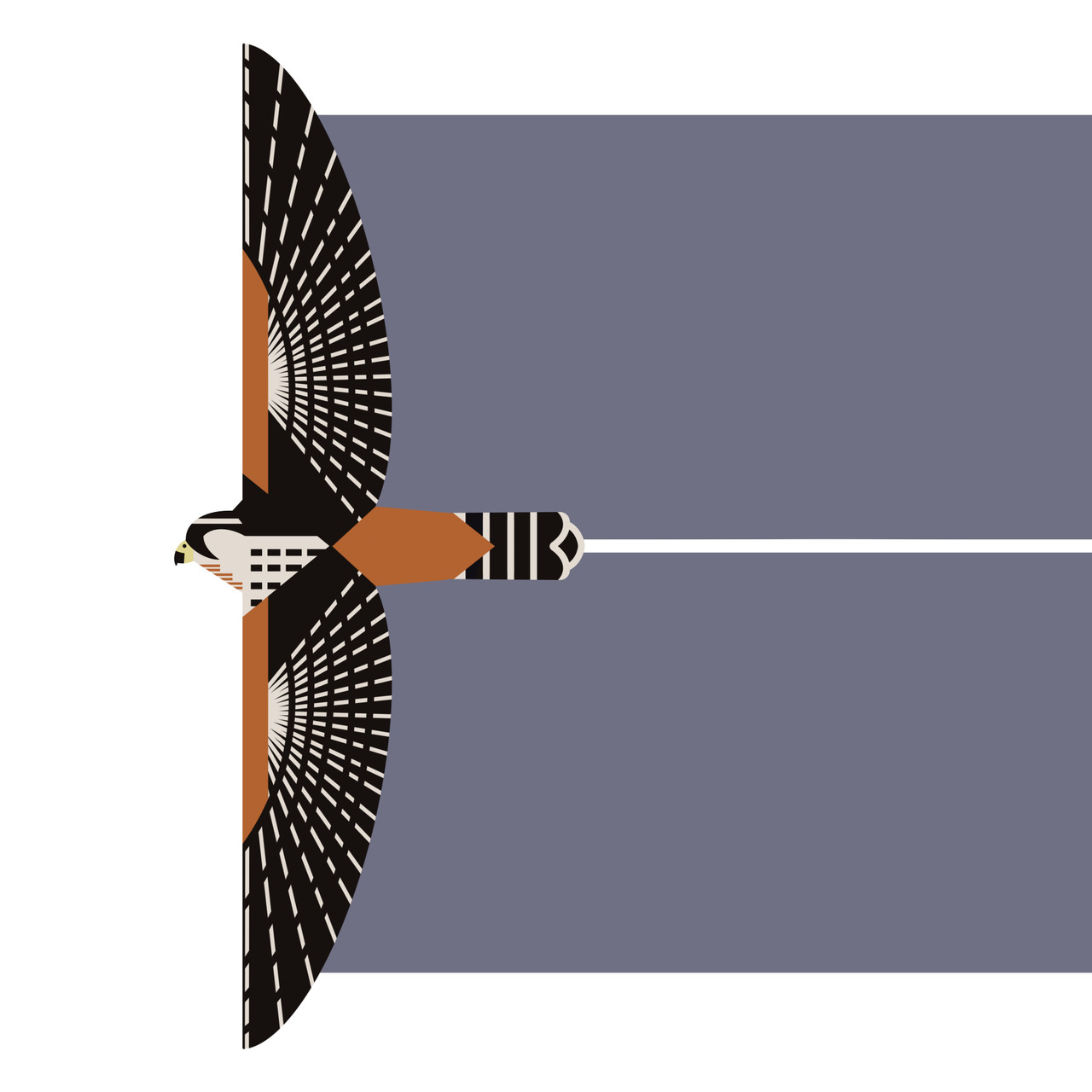 Northern Aplomado Falcon (Falco femoralis septentrionalis) - Endangered Bird Art