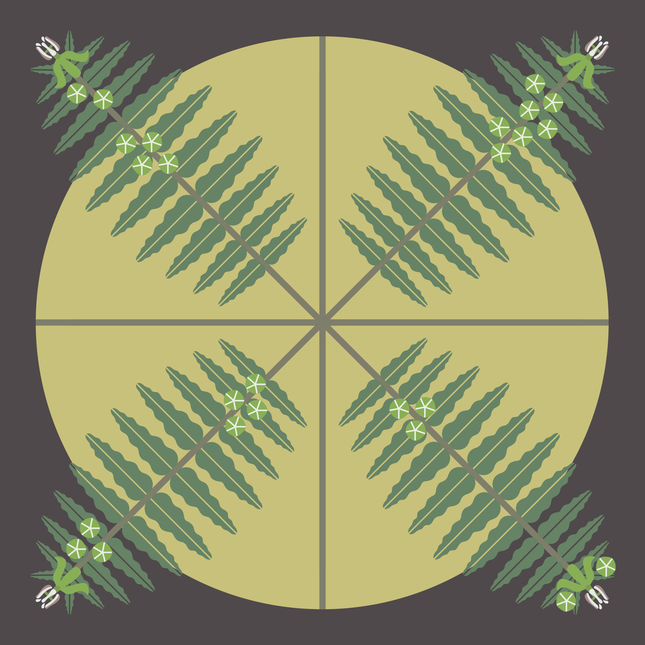 Prostrate Milkweed (Asclepias prostrata) - Endangered Plant