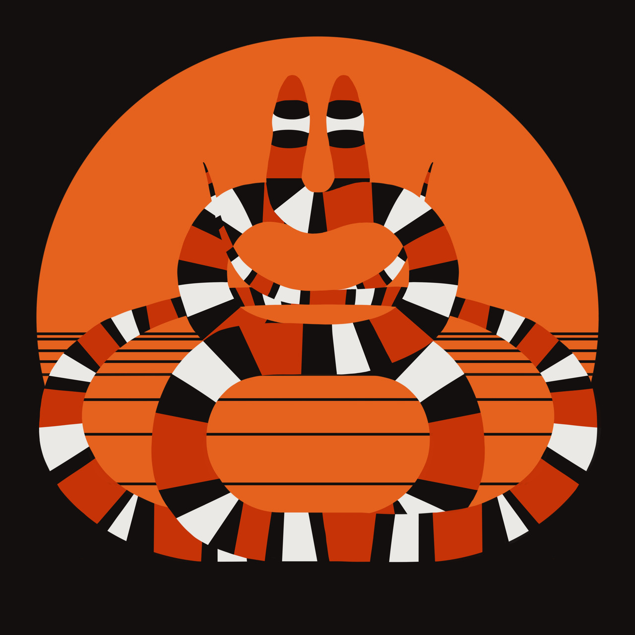 Scarlet Snake- (Cemophora coccinea lineri) Texas Threatened Reptile