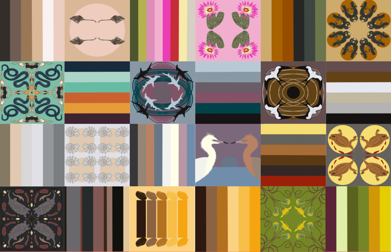 Biodiversity of Texas Series