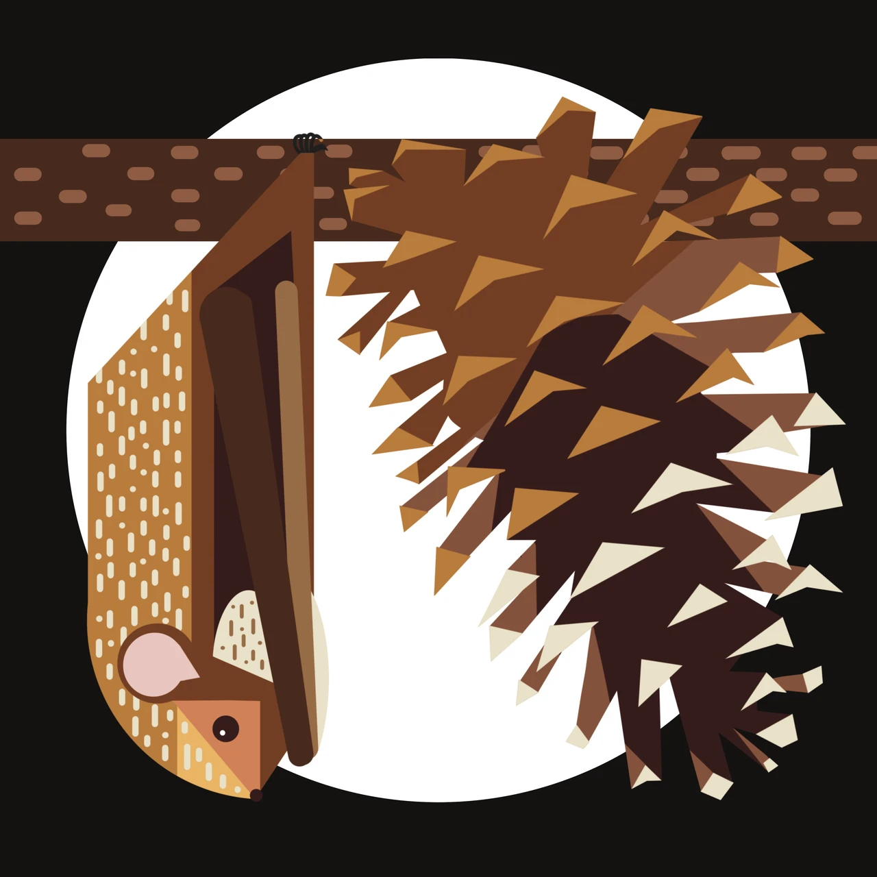 Seminole Bat (Lasiurus seminolus)