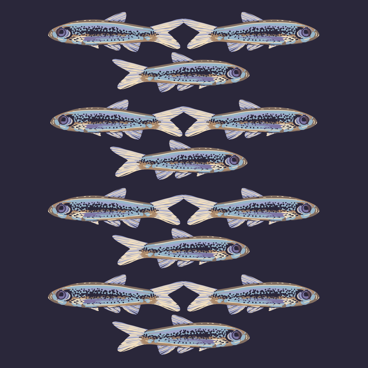 Tamaulipas Shiner 	(Notropis braytoni)