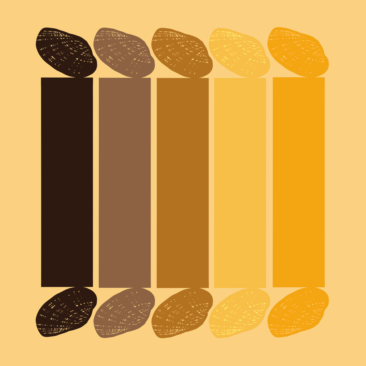 Texas Fatmucket (Lampsilis bracteata)