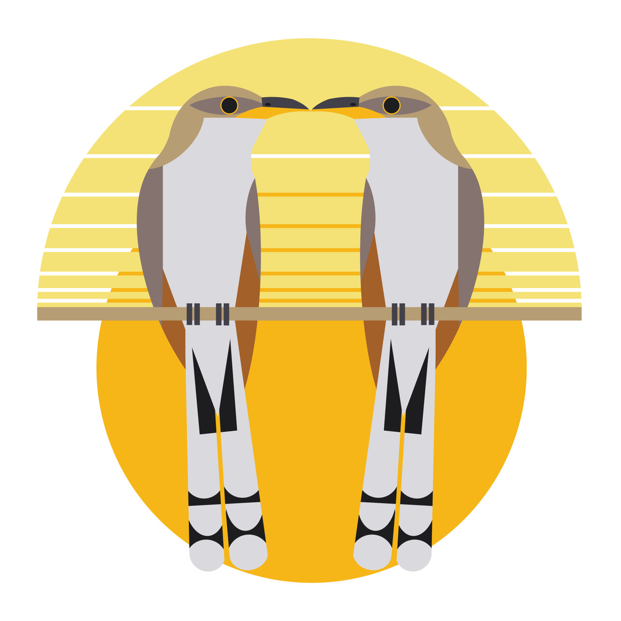 Yellow-billed Cuckoo (Coccyzus americanus)