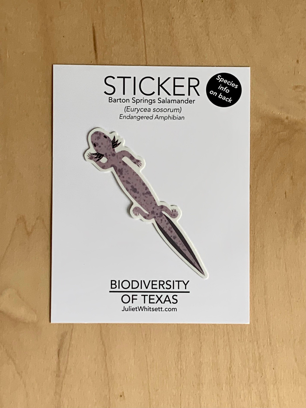 STICKER | Barton Springs Salamander Sticker (Eurycea sosorum) Endangered Amphibian