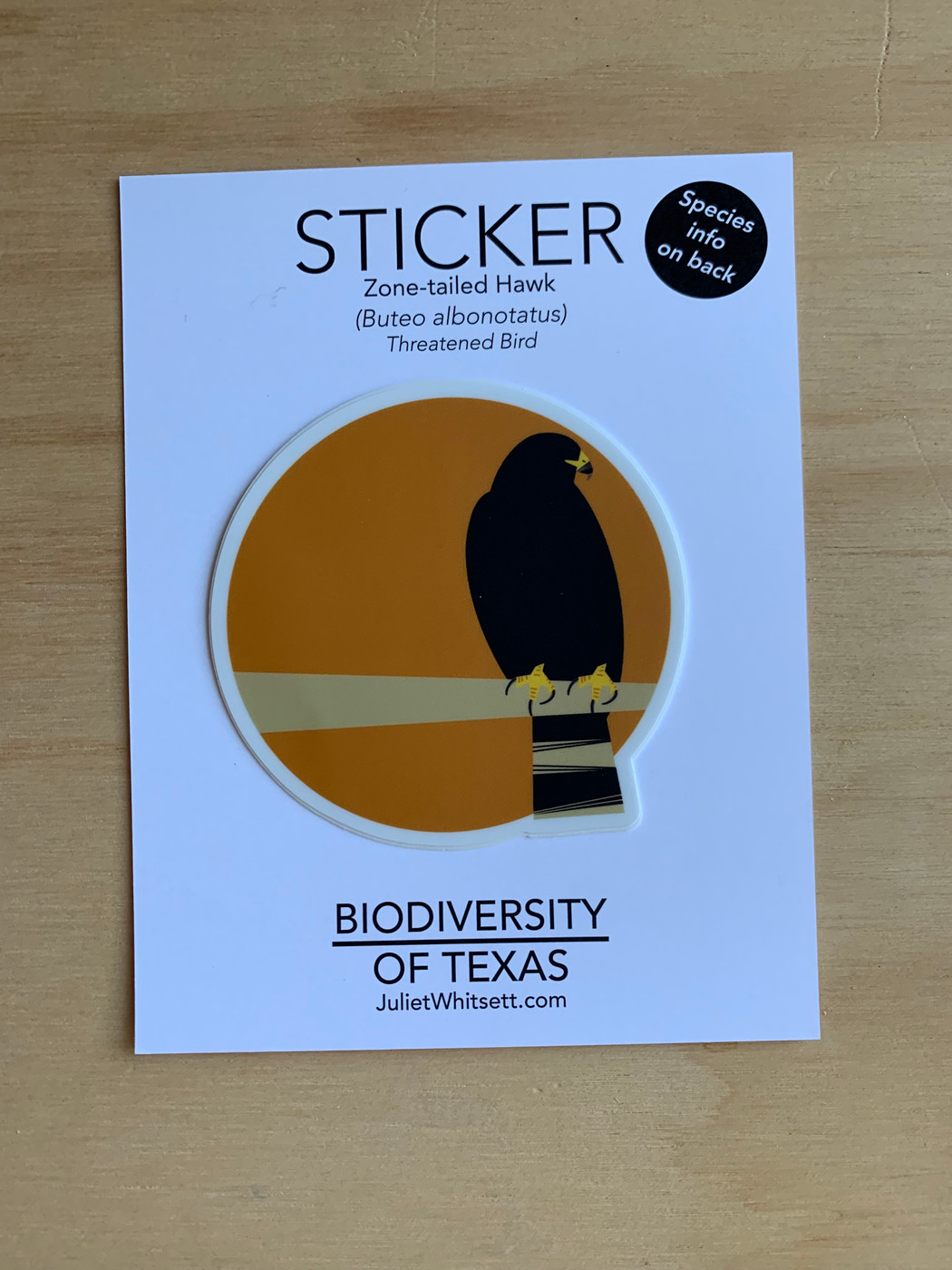 STICKER |  Zone-Tailed Hawk (Buteo albonotatus)- Threatened