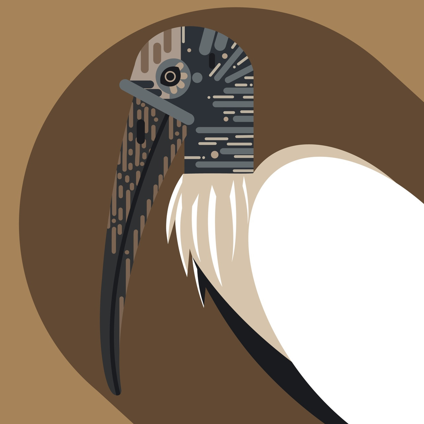 Wood Stork  (Mycteria americana)