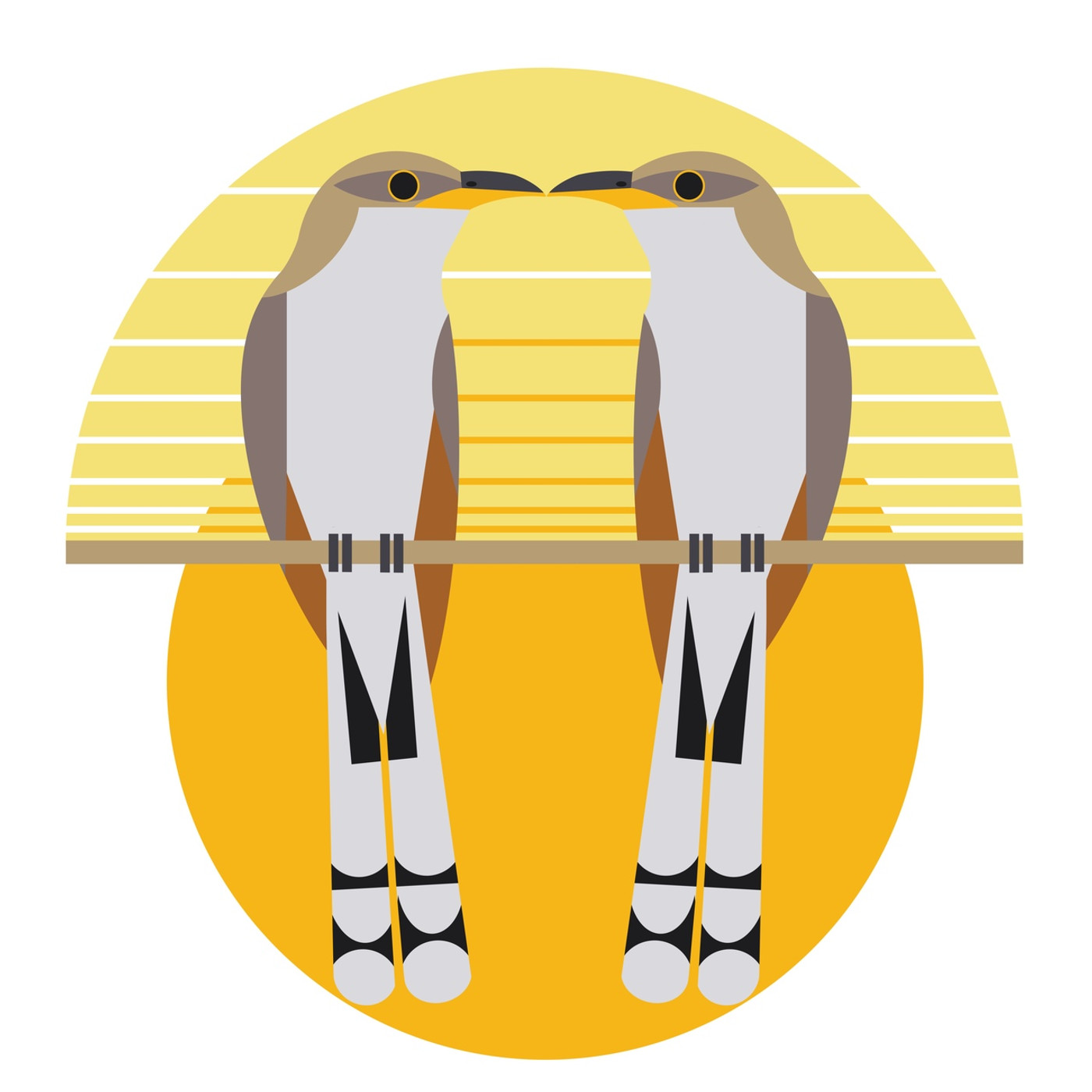 GREETING CARD | Yellow-billed Cuckoo (Coccyzus americanus)