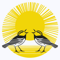 GREETING CARD | Golden-cheeked Warbler (Setophaga chrysoparia)- Endangered