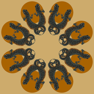 Black-spotted Newt (Notophthalmus meridionalis)