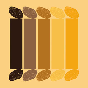  Texas Fatmucket (Lampsilis bracteata)