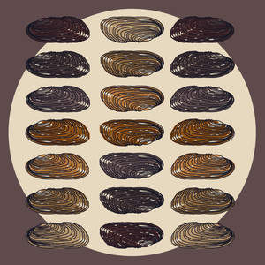 Texas Hornshell (Poenaias popeii)- Endangered