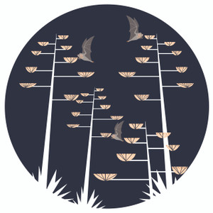 GREETING CARD | Mexican long-nosed bat (Leptonycteris nivalis) - Endangered