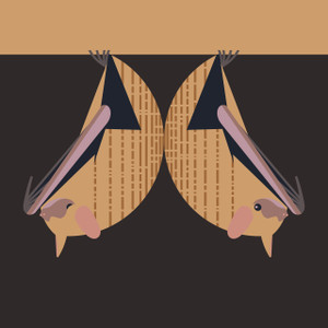 Tricolored bat (Perimyotis subflavus)- Proposed Endangered