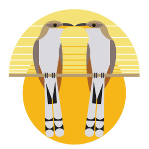 GREETING CARD | Yellow-billed Cuckoo (Coccyzus americanus)