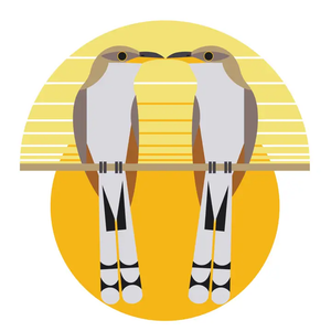 STICKER |  Yellow-billed Cuckoo (Coccyzus americanus) Threatened Bird