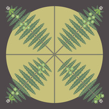 Prostrate Milkweed (Asclepias prostrata) - Endangered Plant