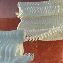 July '24 Featured ECO Artist: Lisa B. Woods | Really Small ECO Museum