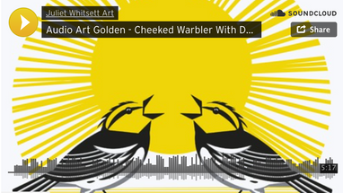 AUDIO WILD: Hike with the Golden-Cheeked Warbler