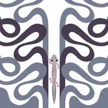 Barton Springs Salamander (Eurycea sosorum)- Endangered Texas Salamander Art