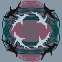 Great Hammerhead (Sphyrna mokarran) -Threatened Texas Fish