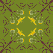  Houston Camphor Daisy (Rayjacksonia aurea) - Threatened Plant