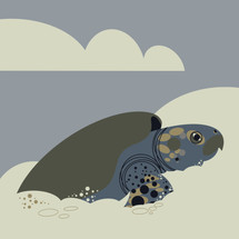 Kemp’s Ridley Sea Turtle (Lepidochelys kempii) - Endangered Species Art
