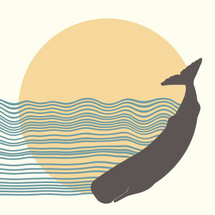 Sperm Whale (Physeter macrocephalus) 