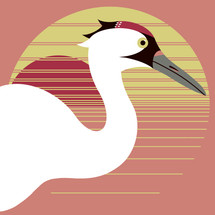 Whooping Crane  (Grus americana)- Endangered Bird Art