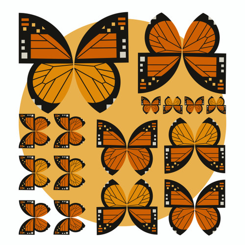 Monarch butterfly (Danaus plexippus)