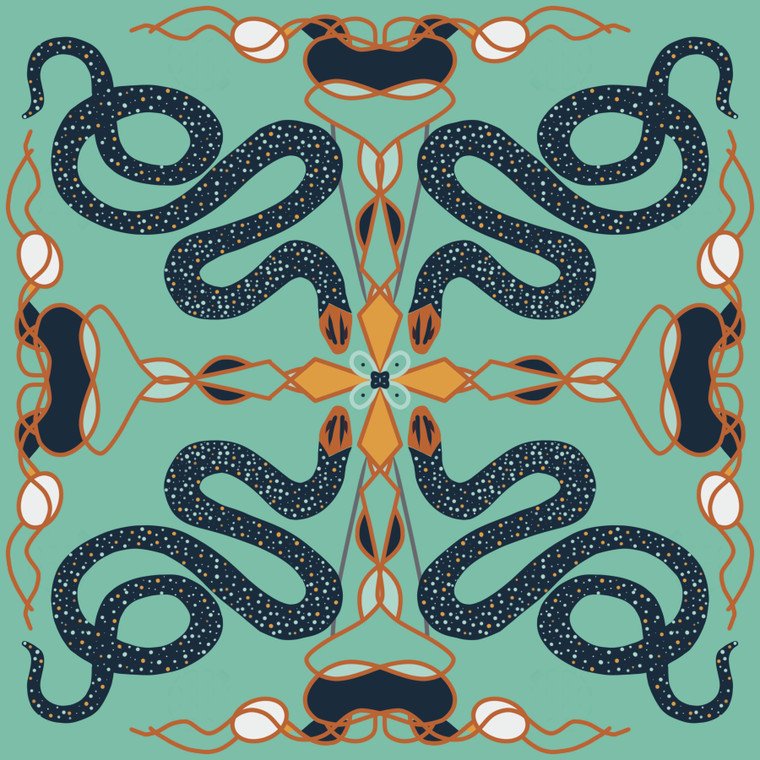 Speckled Racer (Drymobius margaritiferus)