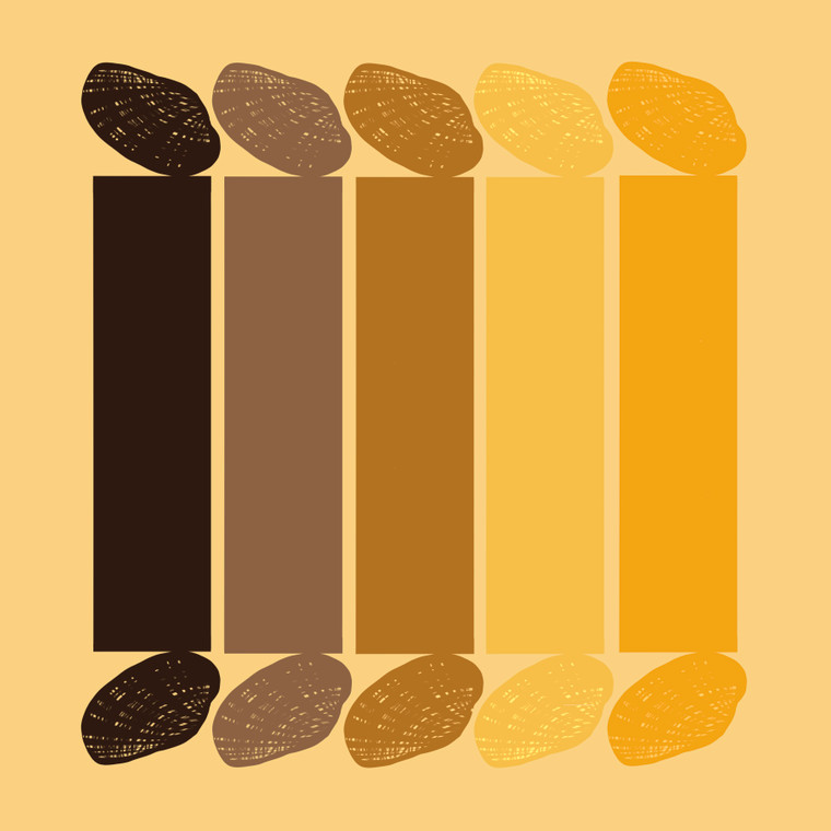  Texas Fatmucket (Lampsilis bracteata)