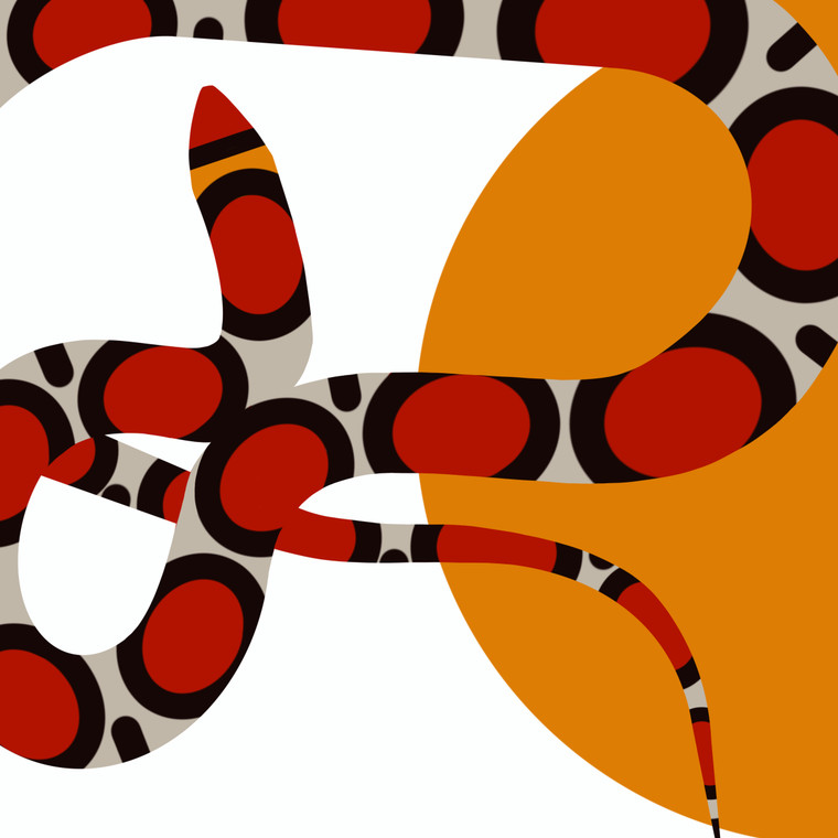 Northern Scarlet Snake (Cemophora coccinea copei)