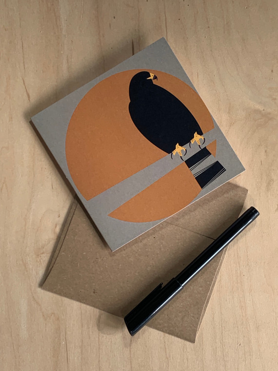 GREETING CARD |  Zone-Tailed Hawk (Buteo albonotatus)- Threatened