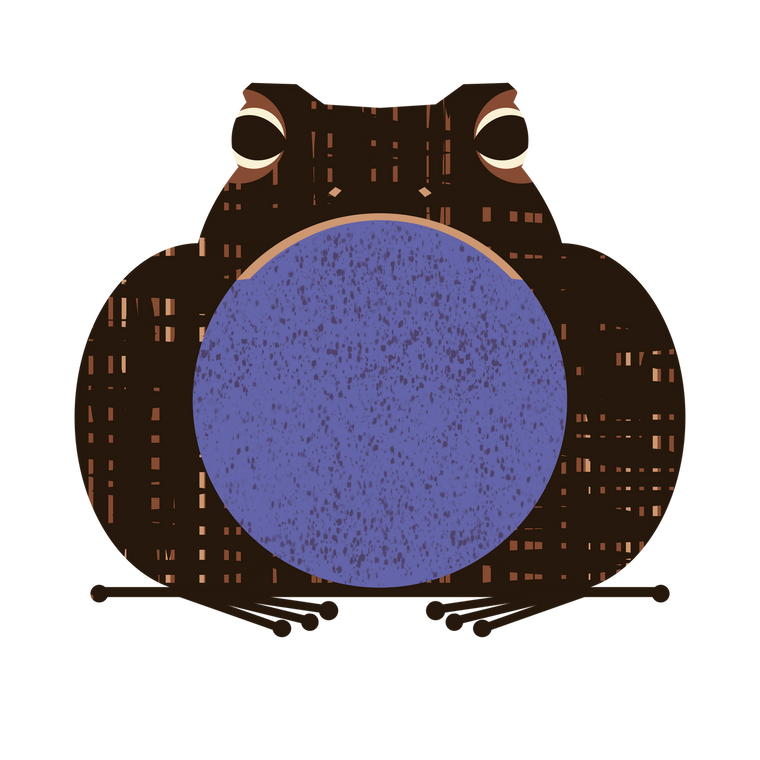 STICKER |  Houston Toad (Anaxyrus houstonensis) - Endangered Amphibian