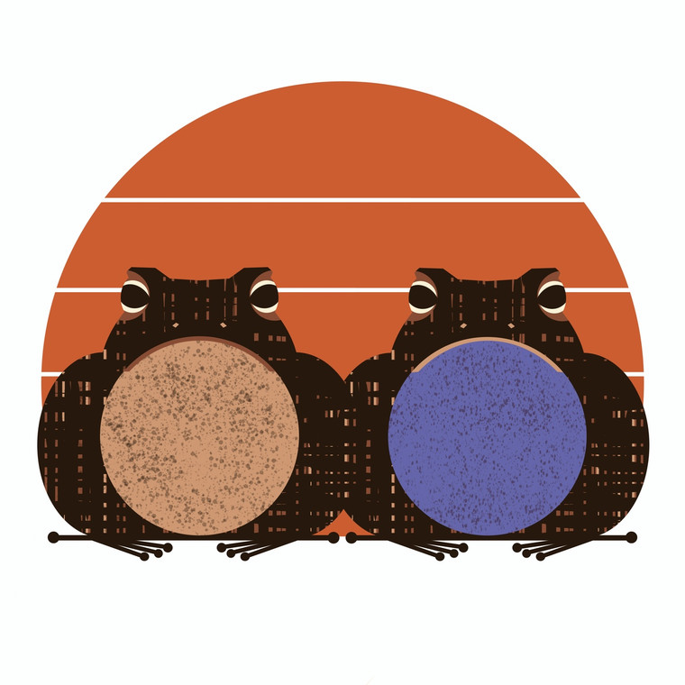 GREETING CARD | Houston Toad (Anaxyrus houstonensis) - Endangered Amphibian