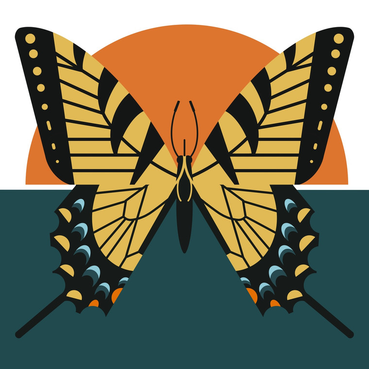 Eastern Tiger Swallowtail butterfly (Papilio glaucus) - Wild Neighbors | Common Species