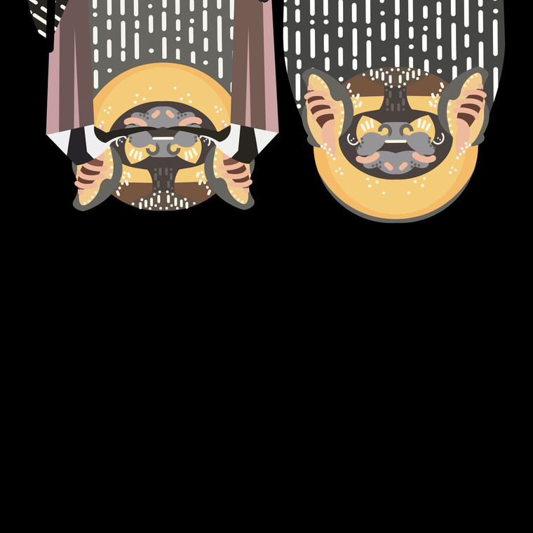 Hoary bats (Lasiurus cinereus) 
