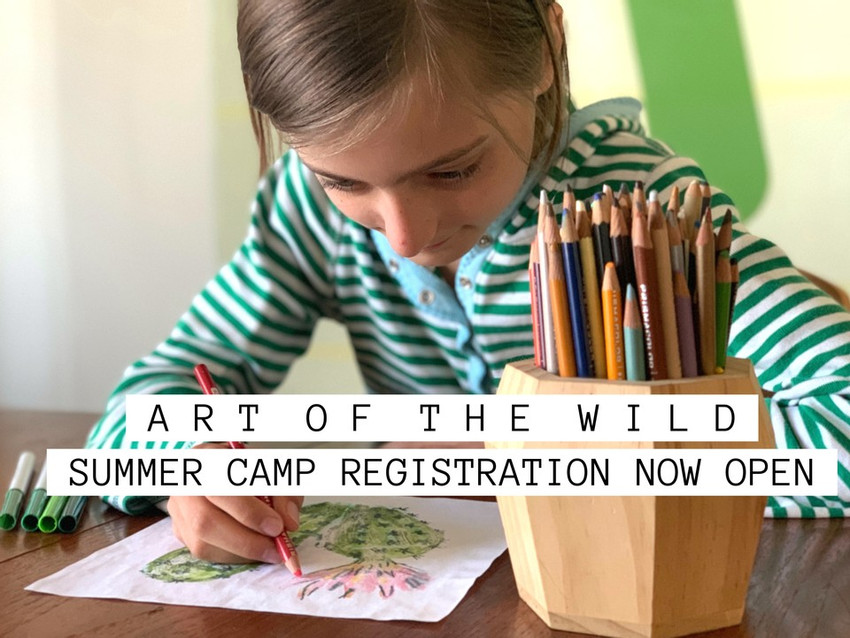 ART OF THE WILD SUMMER CAMP!