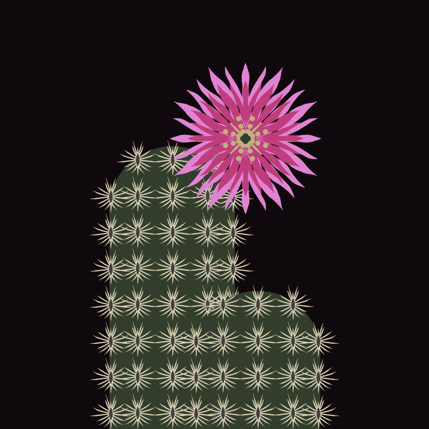 Black Lace Cactus (Echinocereus reichenbachii var. albertii) - Endangered Species Art