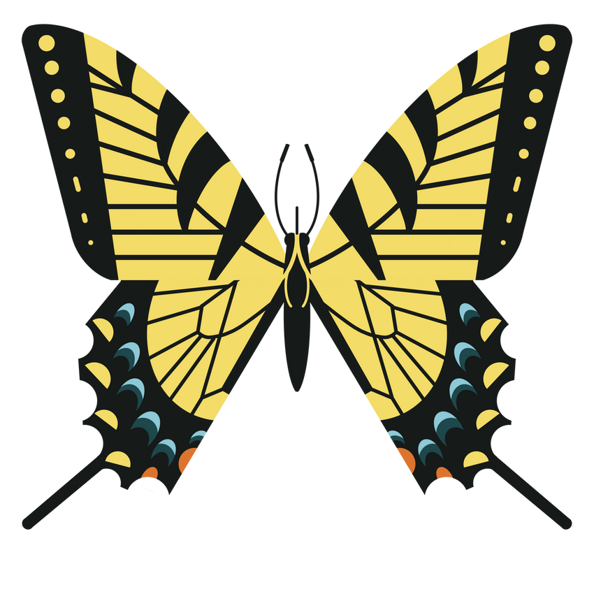 WILD NEIGHBORS SERIES: Eastern Tiger Swallowtail