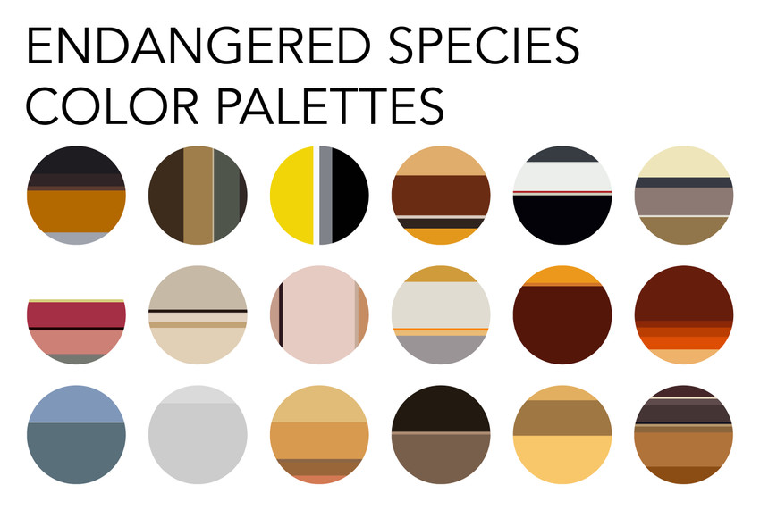 Endangered Species Color Palettes- Juliet Whitsett