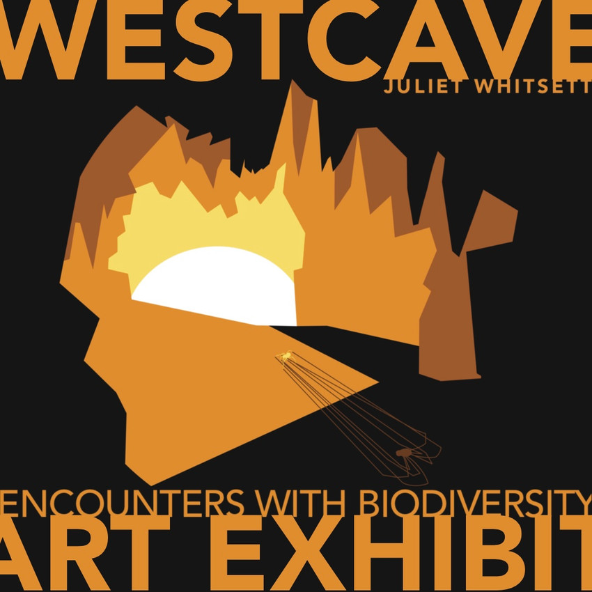 WESTCAVE ART EXHIBIT: Solo Show Juliet Whitsett Nov- May 2023