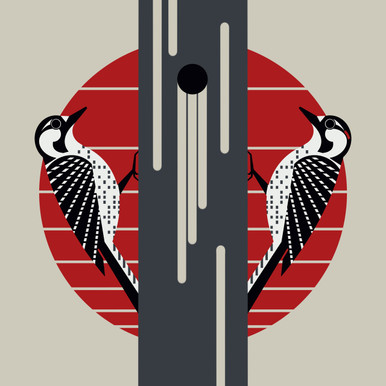 アート・デザイン・音楽 REDHEADED PECKERWOOD Red headed Woodpecker. From The Birds of America Amsterdam Edition