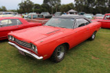 Road Runner