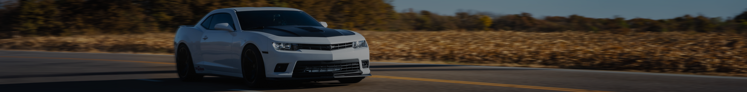 Fifth generation camaro