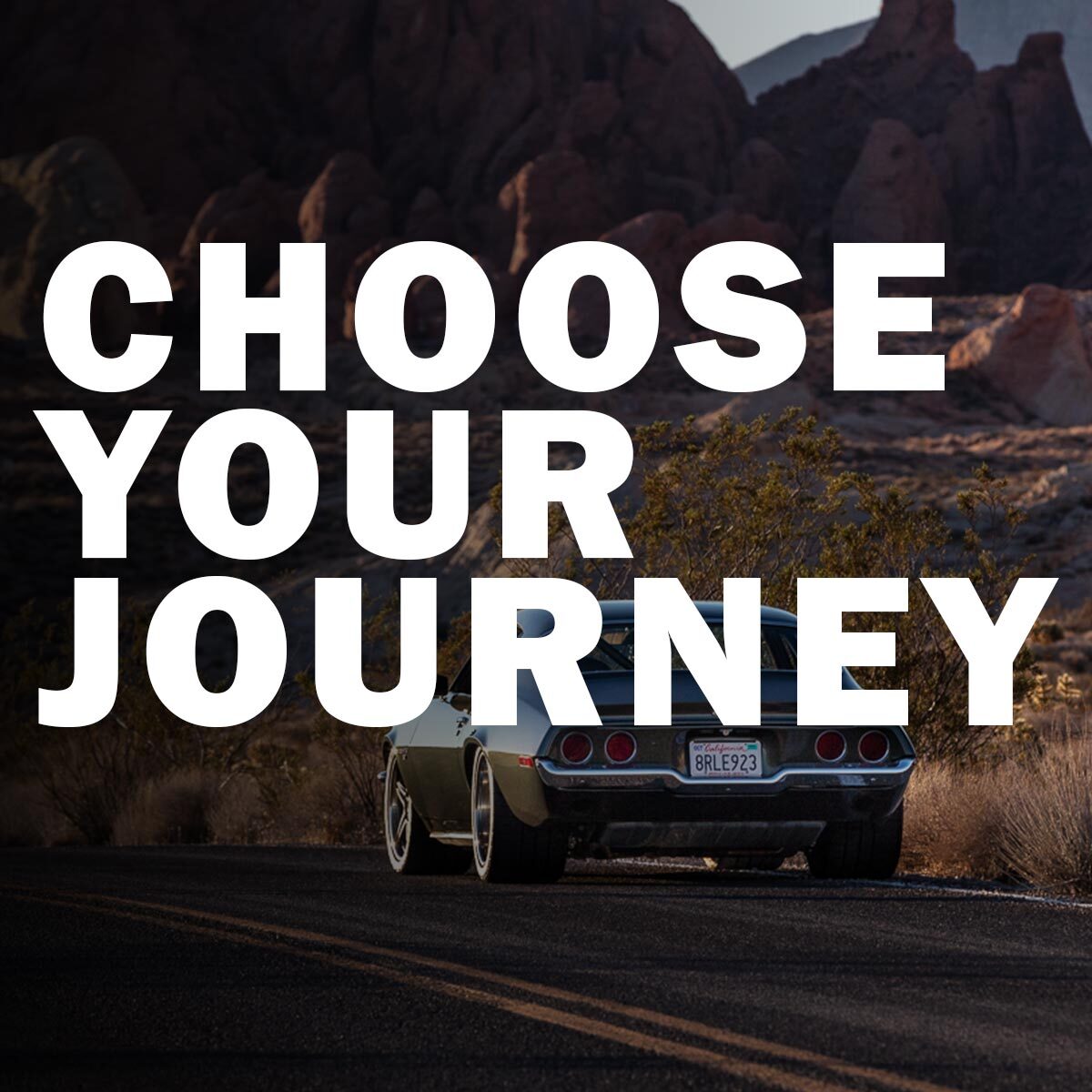 Choose your Journey for Restomods or Racing suspension components. 