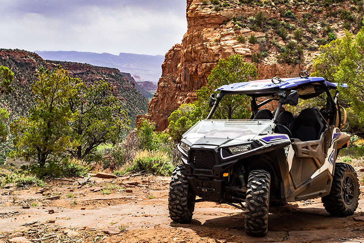 Powersports vehicle suspension
